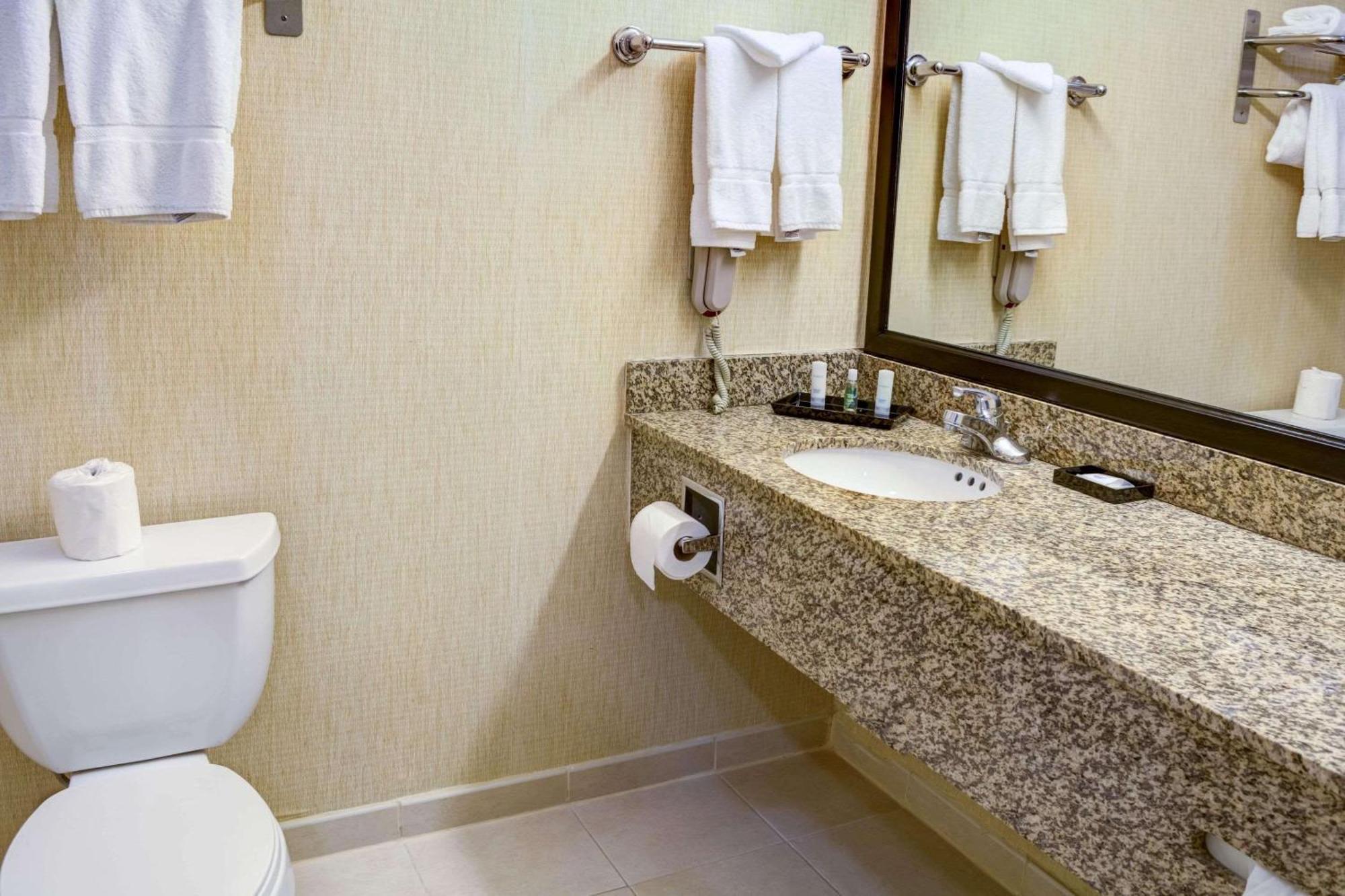 Habitación Estándar con 2 camas grandes - No fumadores